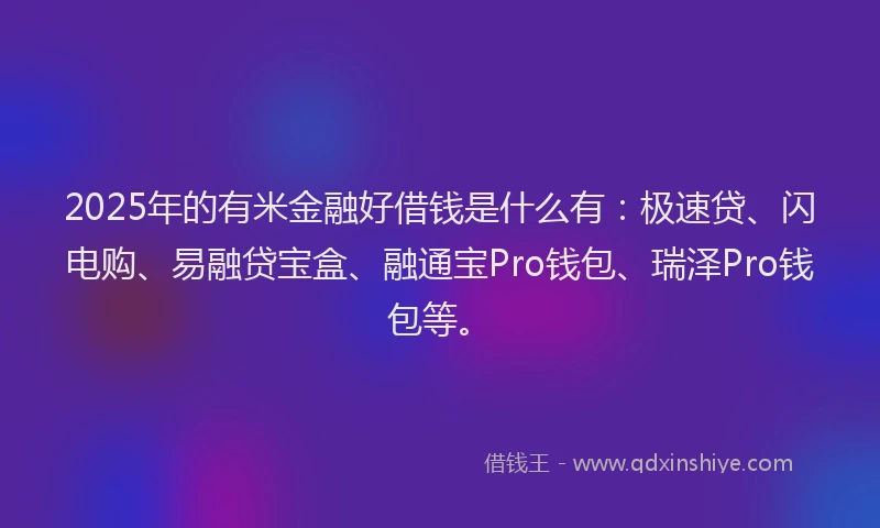 2025年的有米金融好借钱是什么有：极速贷、闪电购、易融贷宝盒、融通宝Pro钱包、瑞泽Pro钱包等。