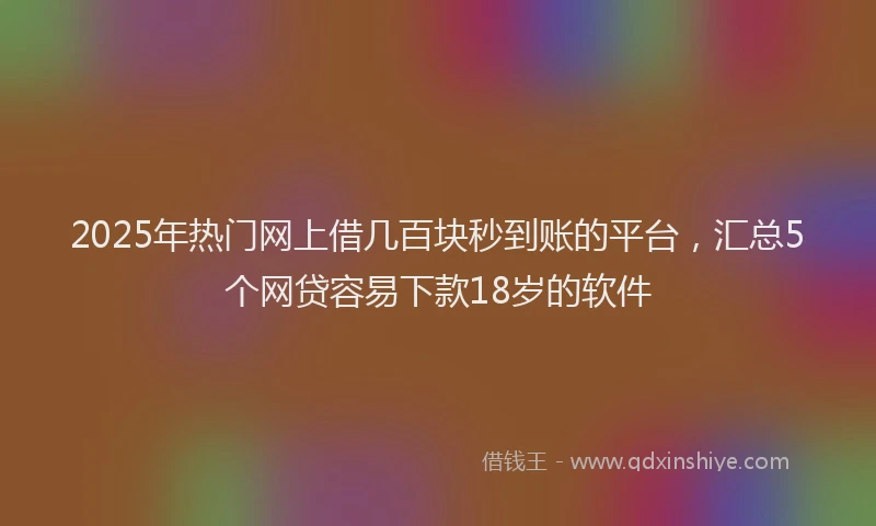 2025年热门网上借几百块秒到账的平台，汇总5个网贷容易下款18岁的软件