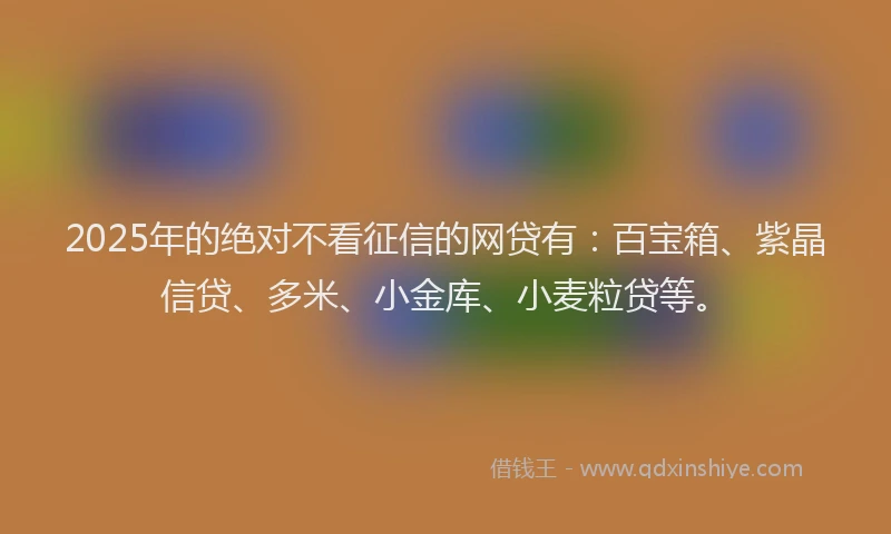 2025年的绝对不看征信的网贷有：百宝箱、紫晶信贷、多米、小金库、小麦粒贷等。