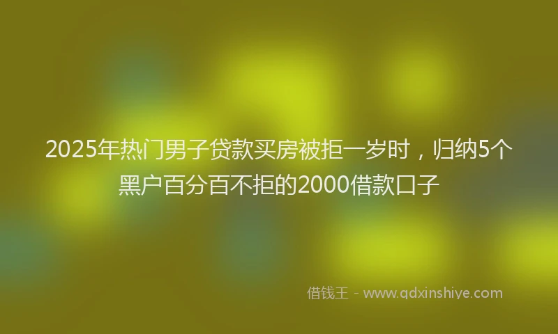 2025年热门男子贷款买房被拒一岁时，归纳5个黑户百分百不拒的2000借款口子