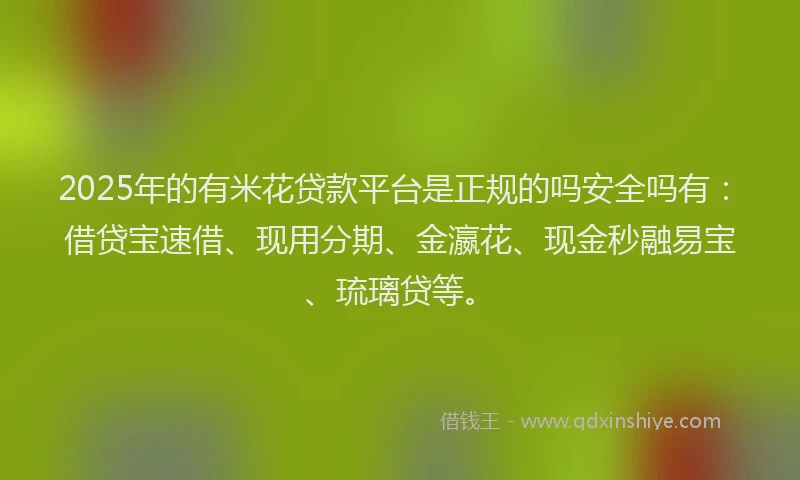 2025年的有米花贷款平台是正规的吗安全吗有：借贷宝速借、现用分期、金瀛花、现金秒融易宝、琉璃贷等。