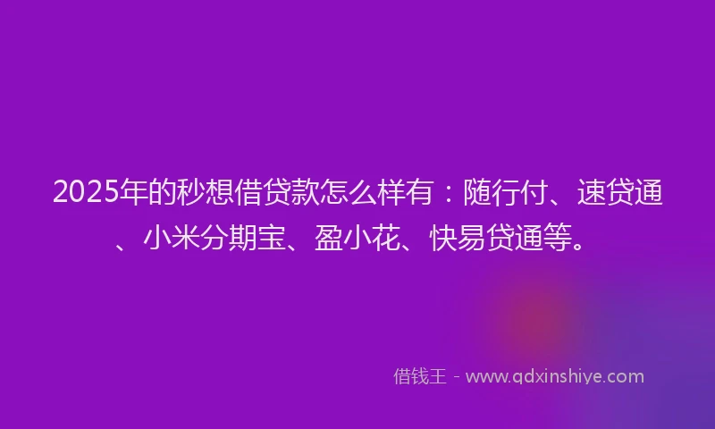 2025年的秒想借贷款怎么样有：随行付、速贷通、小米分期宝、盈小花、快易贷通等。