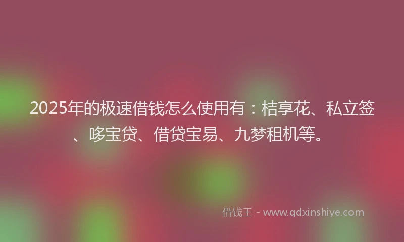 2025年的极速借钱怎么使用有：桔享花、私立签、哆宝贷、借贷宝易、九梦租机等。