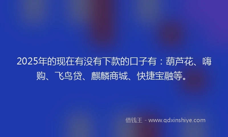 2025年的现在有没有下款的口子有：葫芦花、嗨购、飞鸟贷、麒麟商城、快捷宝融等。