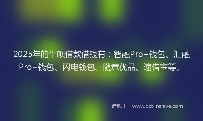 2025年的牛呗借款借钱有：智融Pro+钱包、汇融Pro+钱包、闪电钱包、随意优品、速借宝等。