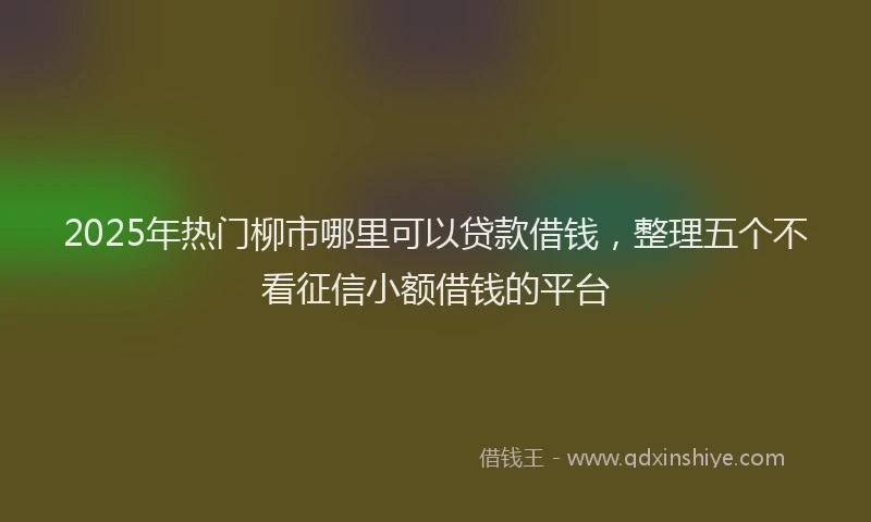 2025年热门柳市哪里可以贷款借钱，整理五个不看征信小额借钱的平台