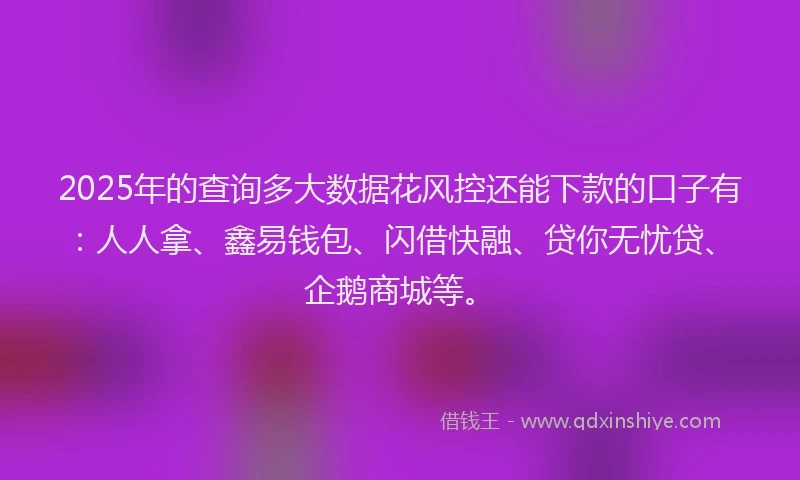 2025年的查询多大数据花风控还能下款的口子有：人人拿、鑫易钱包、闪借快融、贷你无忧贷、企鹅商城等。