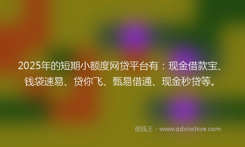 2025年的短期小额度网贷平台有：现金借款宝、钱袋速易、贷你飞、甄易借通、现金秒贷等。