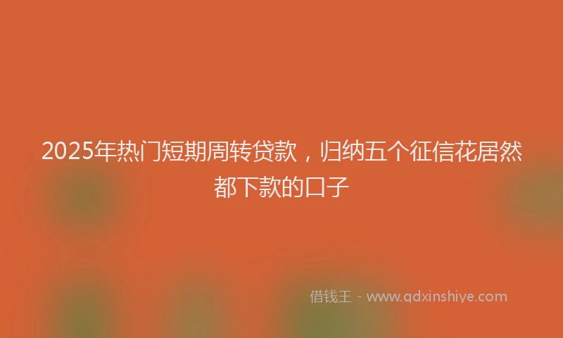 2025年热门短期周转贷款，归纳五个征信花居然都下款的口子