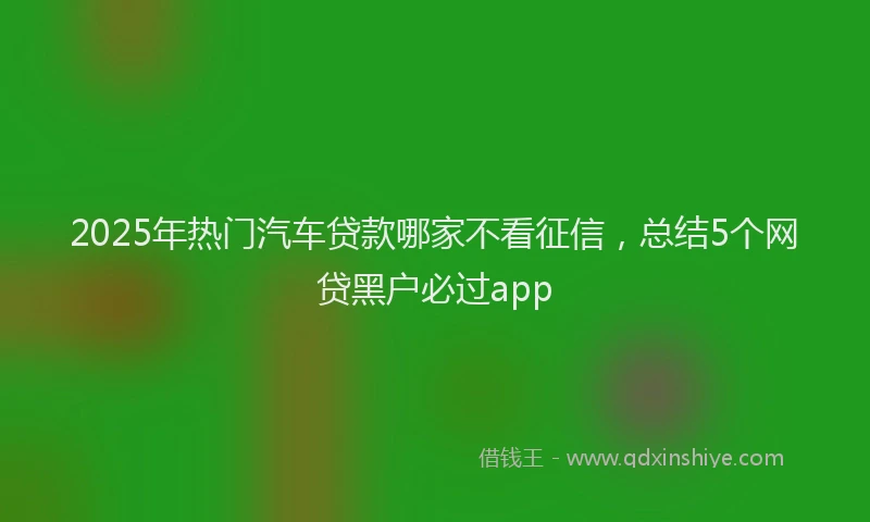 2025年热门汽车贷款哪家不看征信，总结5个网贷黑户必过app