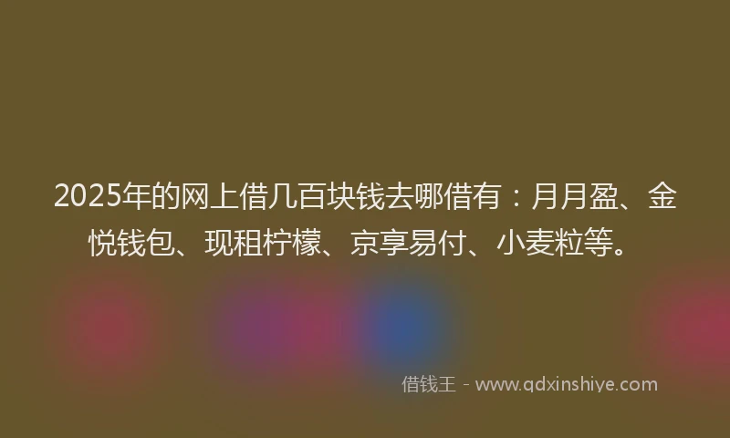 2025年的网上借几百块钱去哪借有：月月盈、金悦钱包、现租柠檬、京享易付、小麦粒等。