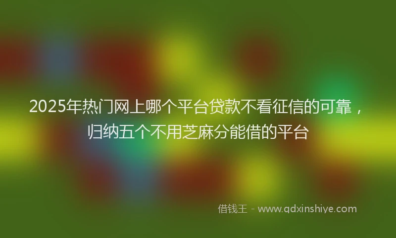 2025年热门网上哪个平台贷款不看征信的可靠，归纳五个不用芝麻分能借的平台