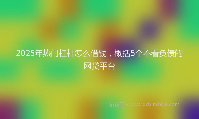 2025年热门杠杆怎么借钱，概括5个不看负债的网贷平台