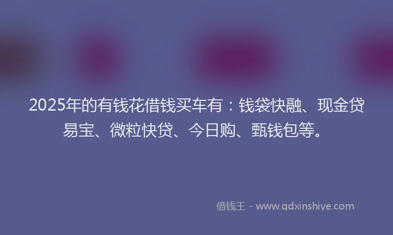 2025年的有钱花借钱买车有：钱袋快融、现金贷易宝、微粒快贷、今日购、甄钱包等。