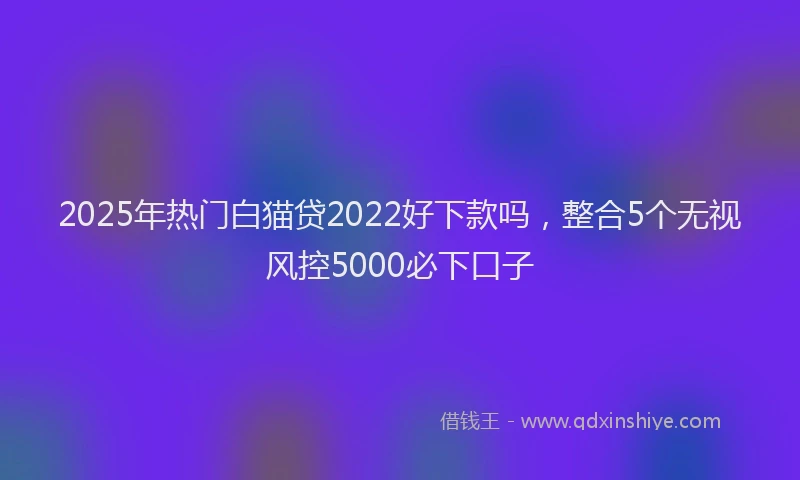 2025年热门白猫贷2022好下款吗，整合5个无视风控5000必下口子