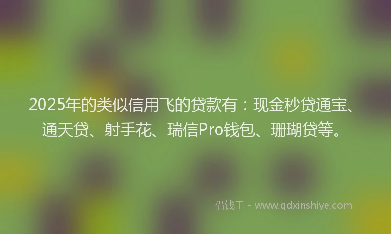 2025年的类似信用飞的贷款有：现金秒贷通宝、通天贷、射手花、瑞信Pro钱包、珊瑚贷等。