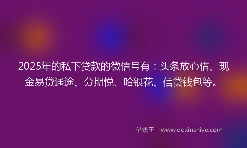 2025年的私下贷款的微信号有：头条放心借、现金易贷通途、分期悦、哈银花、信贷钱包等。