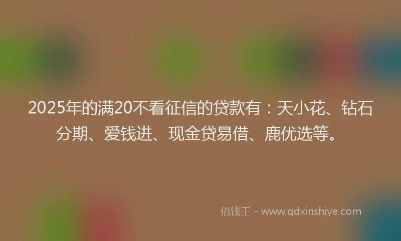 2025年的满20不看征信的贷款有：天小花、钻石分期、爱钱进、现金贷易借、鹿优选等。