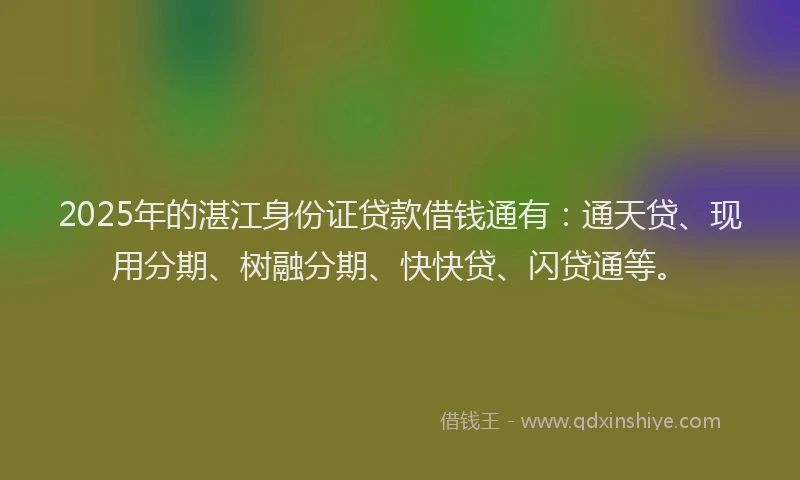 2025年的湛江身份证贷款借钱通有：通天贷、现用分期、树融分期、快快贷、闪贷通等。