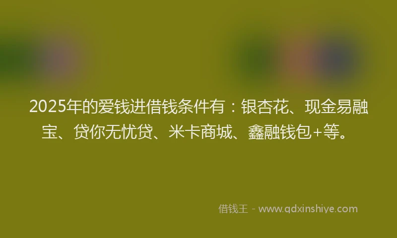 2025年的爱钱进借钱条件有：银杏花、现金易融宝、贷你无忧贷、米卡商城、鑫融钱包+等。
