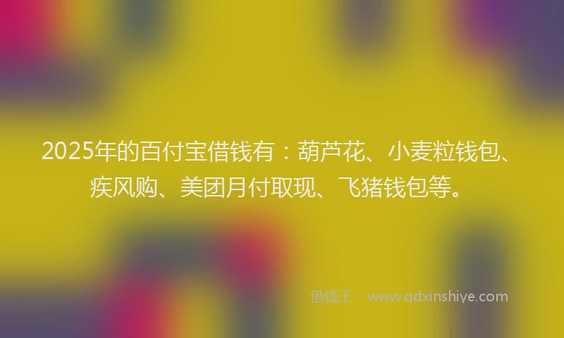 2025年的百付宝借钱有：葫芦花、小麦粒钱包、疾风购、美团月付取现、飞猪钱包等。