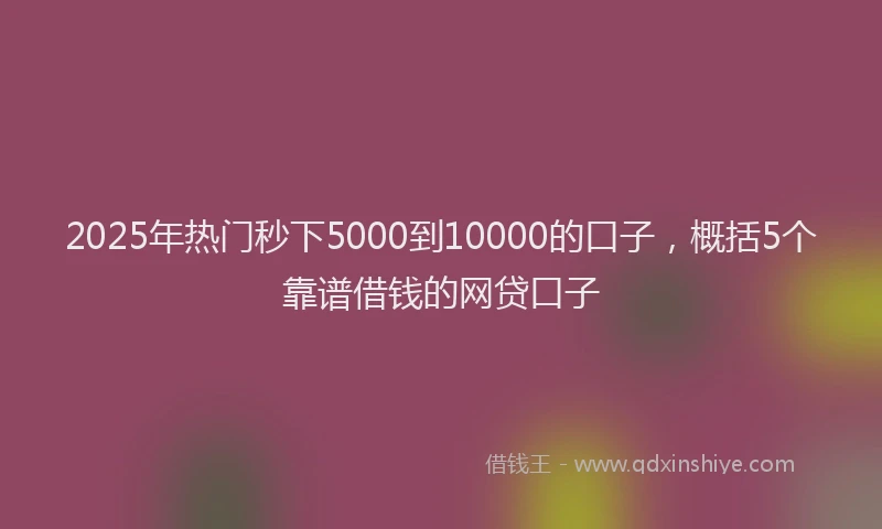 2025年热门秒下5000到10000的口子，概括5个靠谱借钱的网贷口子