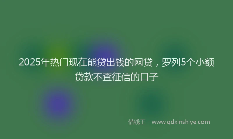 2025年热门现在能贷出钱的网贷，罗列5个小额贷款不查征信的口子