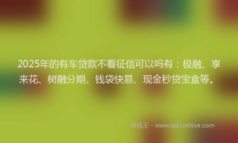 2025年的有车贷款不看征信可以吗有：极融、享来花、树融分期、钱袋快易、现金秒贷宝盒等。