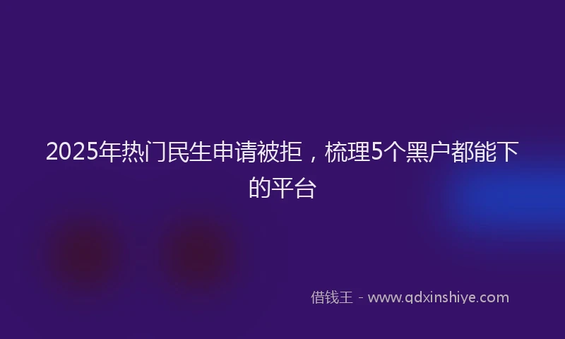 2025年热门民生申请被拒，梳理5个黑户都能下的平台