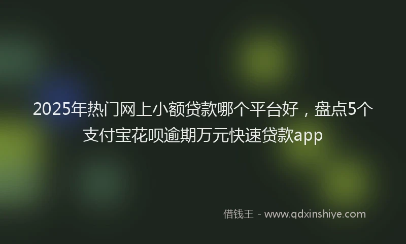2025年热门网上小额贷款哪个平台好，盘点5个支付宝花呗逾期万元快速贷款app