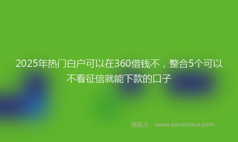 2025年热门白户可以在360借钱不，整合5个可以不看征信就能下款的口子