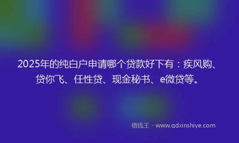 2025年的纯白户申请哪个贷款好下有：疾风购、贷你飞、任性贷、现金秘书、e微贷等。