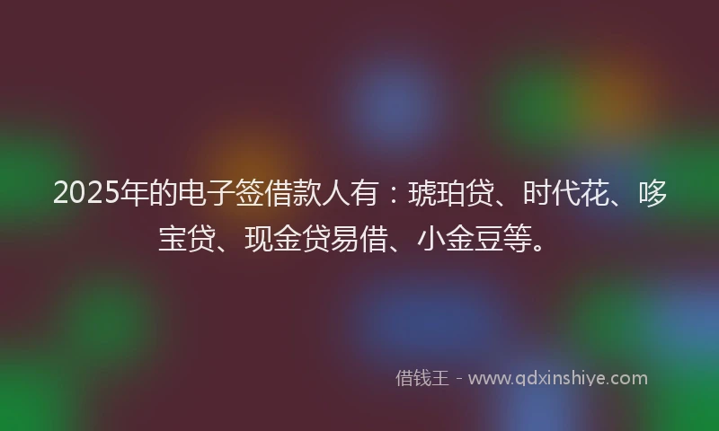 2025年的电子签借款人有：琥珀贷、时代花、哆宝贷、现金贷易借、小金豆等。