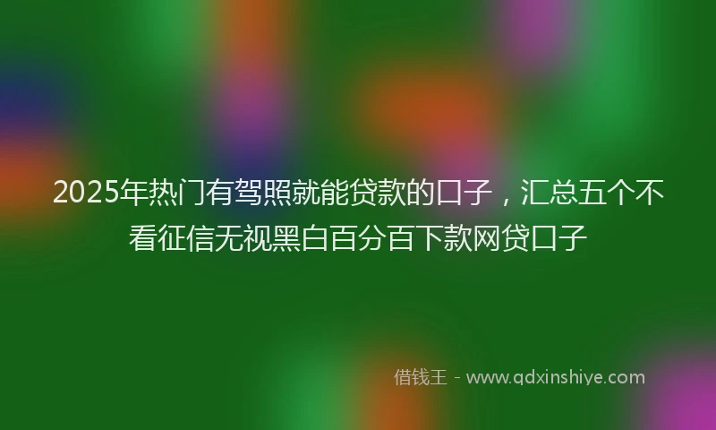 2025年热门有驾照就能贷款的口子，汇总五个不看征信无视黑白百分百下款网贷口子