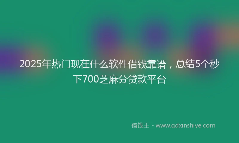 2025年热门现在什么软件借钱靠谱，总结5个秒下700芝麻分贷款平台