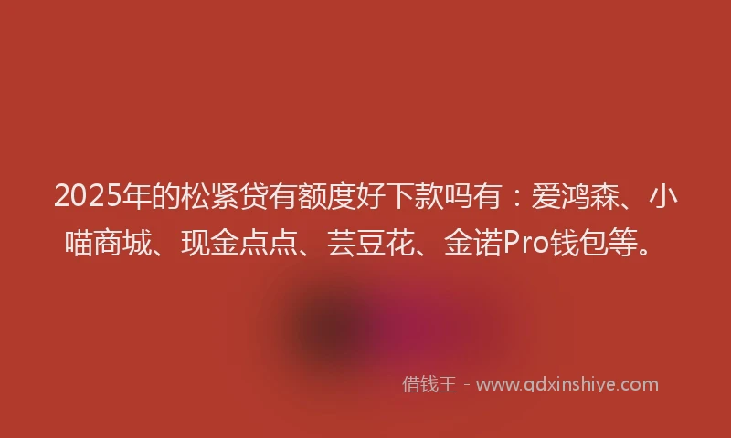 2025年的松紧贷有额度好下款吗有：爱鸿森、小喵商城、现金点点、芸豆花、金诺Pro钱包等。