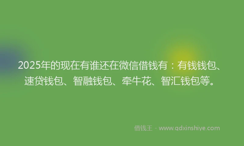 2025年的现在有谁还在微信借钱有：有钱钱包、速贷钱包、智融钱包、牵牛花、智汇钱包等。