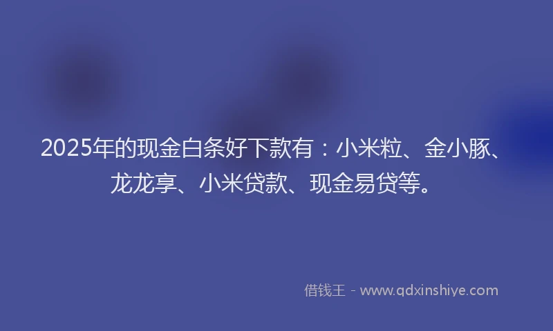 2025年的现金白条好下款有：小米粒、金小豚、龙龙享、小米贷款、现金易贷等。