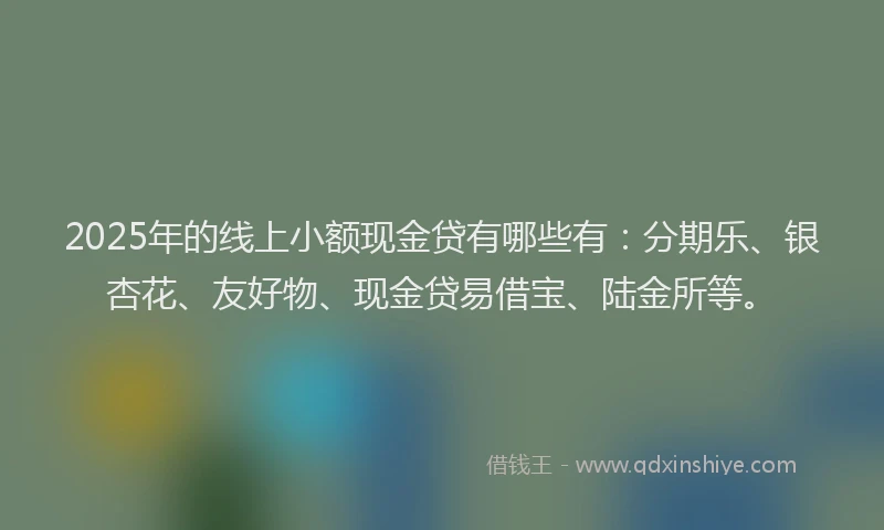 2025年的线上小额现金贷有哪些有：分期乐、银杏花、友好物、现金贷易借宝、陆金所等。