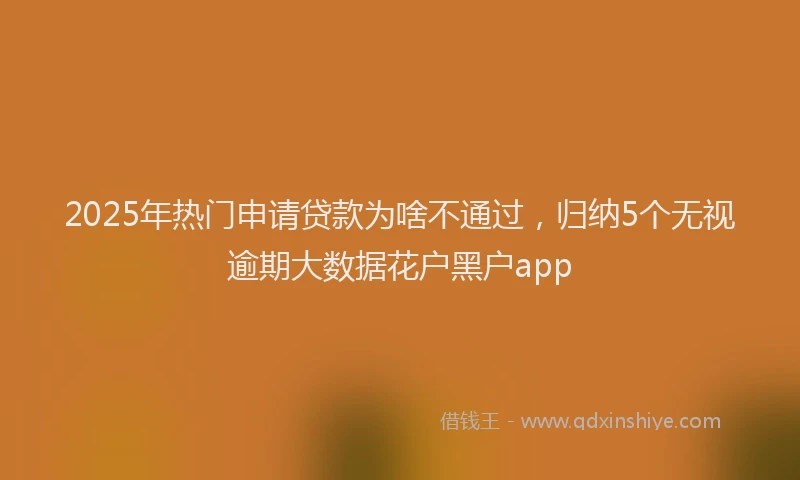 2025年热门申请贷款为啥不通过，归纳5个无视逾期大数据花户黑户app