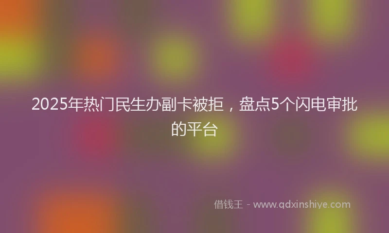 2025年热门民生办副卡被拒，盘点5个闪电审批的平台
