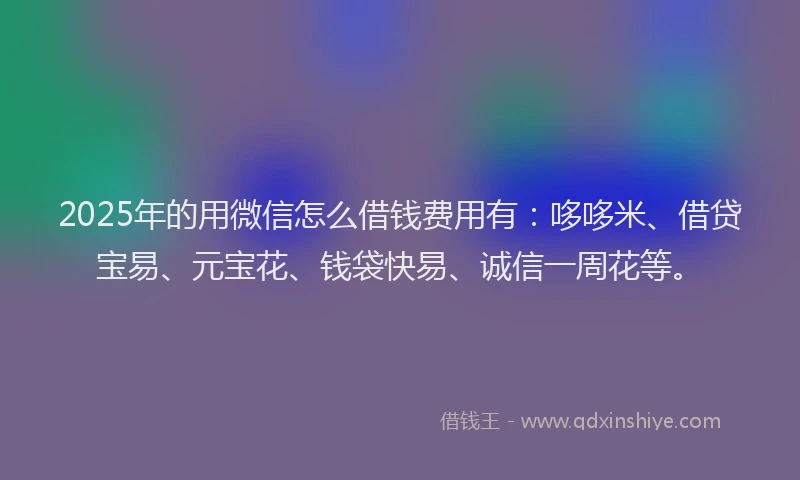 2025年的用微信怎么借钱费用有：哆哆米、借贷宝易、元宝花、钱袋快易、诚信一周花等。