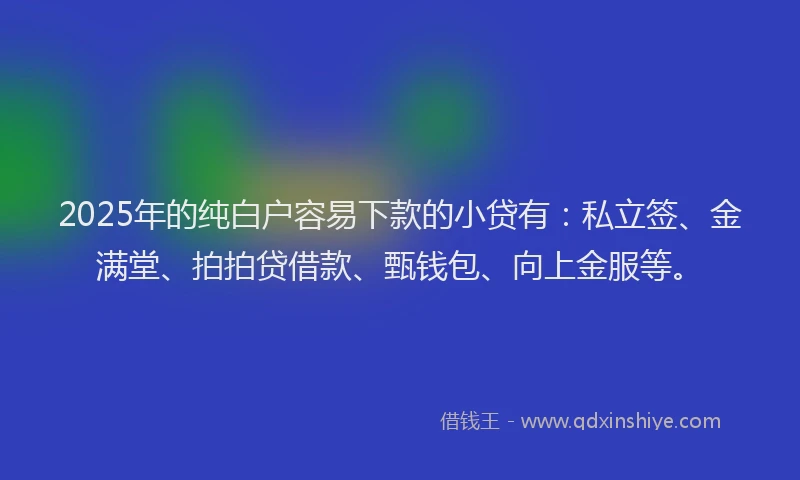2025年的纯白户容易下款的小贷有：私立签、金满堂、拍拍贷借款、甄钱包、向上金服等。