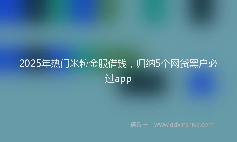 2025年热门米粒金服借钱，归纳5个网贷黑户必过app