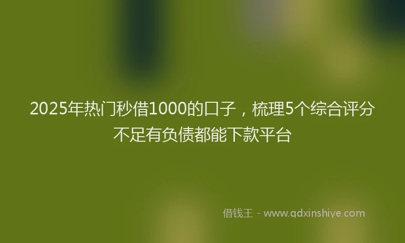 2025年热门秒借1000的口子，梳理5个综合评分不足有负债都能下款平台