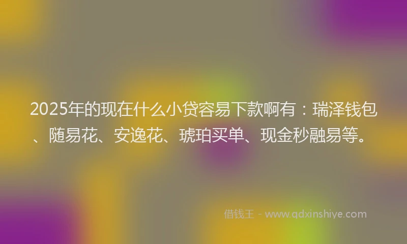 2025年的现在什么小贷容易下款啊有：瑞泽钱包、随易花、安逸花、琥珀买单、现金秒融易等。