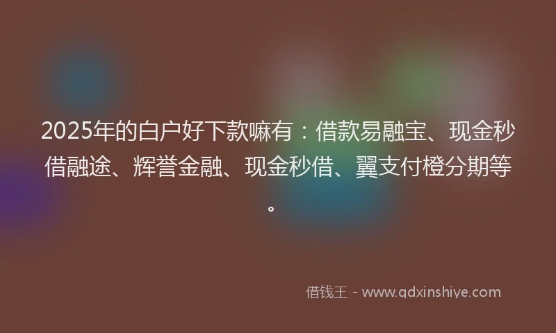 2025年的白户好下款嘛有：借款易融宝、现金秒借融途、辉誉金融、现金秒借、翼支付橙分期等。