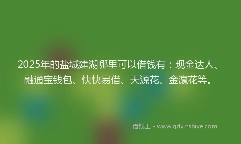 2025年的盐城建湖哪里可以借钱有：现金达人、融通宝钱包、快快易借、天源花、金瀛花等。
