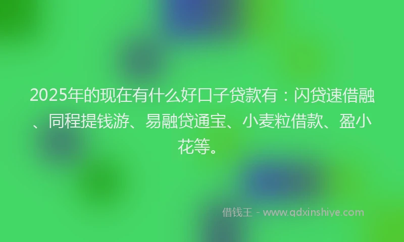 2025年的现在有什么好口子贷款有：闪贷速借融、同程提钱游、易融贷通宝、小麦粒借款、盈小花等。