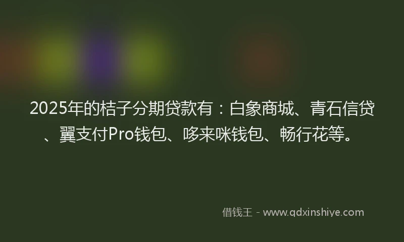 2025年的桔子分期贷款有：白象商城、青石信贷、翼支付Pro钱包、哆来咪钱包、畅行花等。